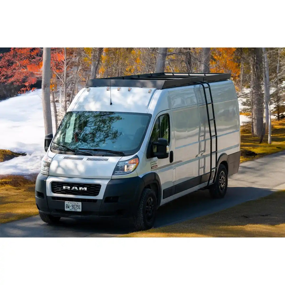 White Promaster with installed roof rack and ladder on road with trees