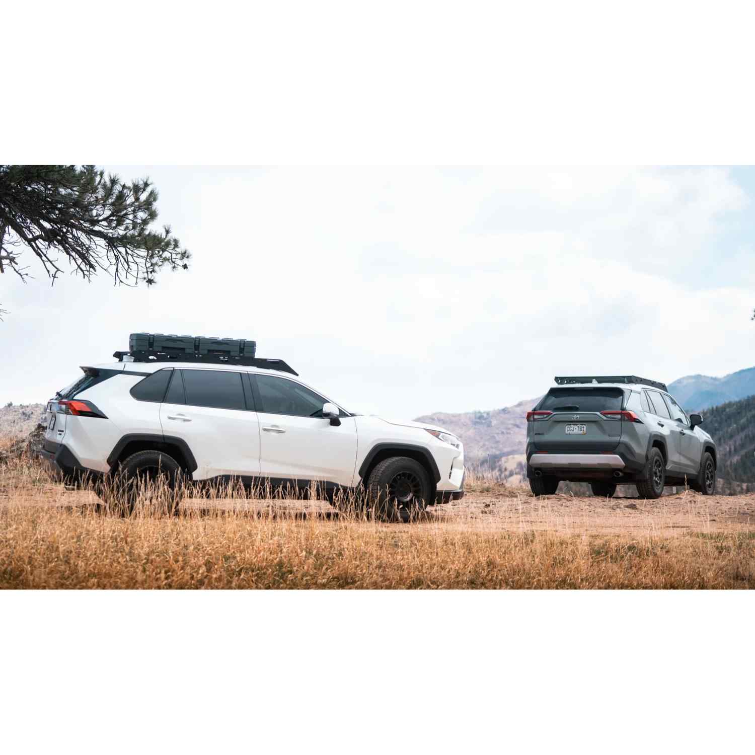rav4 with roof top tent The Snowmass (2019-2025 RAV4 Roof Rack) Full Height (No Light Bar)