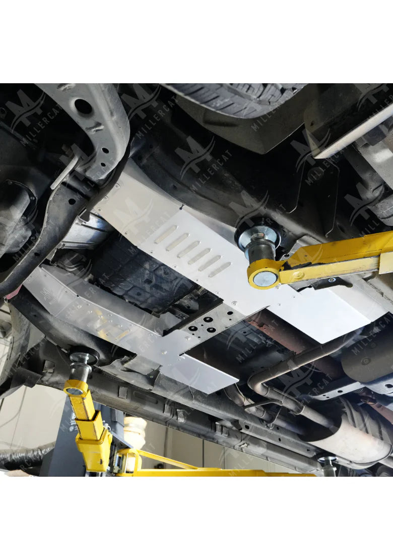 Installed view of Cat shied on NV1500