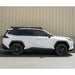 Prinsu Toyota RAV4 PRO Accessory Panel 6th Gen Window Mount