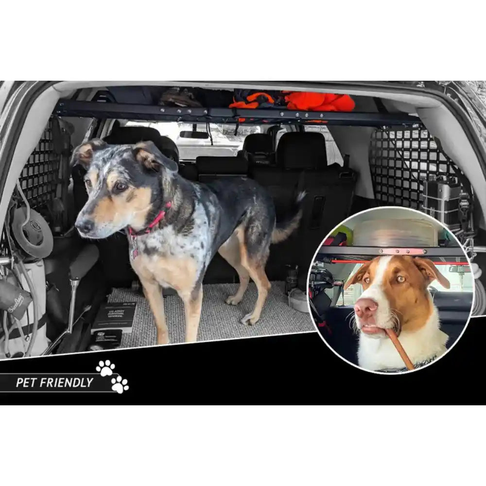 Dog in 4Runner cargo area below Rago Molle storage shelf