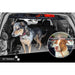 Dog in 4Runner cargo area below Rago Molle storage shelf