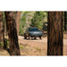 Rivian R1T with RIGID light mount between pine trees