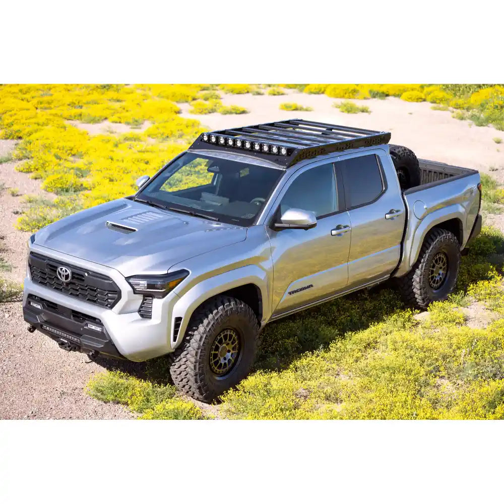 4th Gen Tacoma with Rago light pocket rack in wildflowers