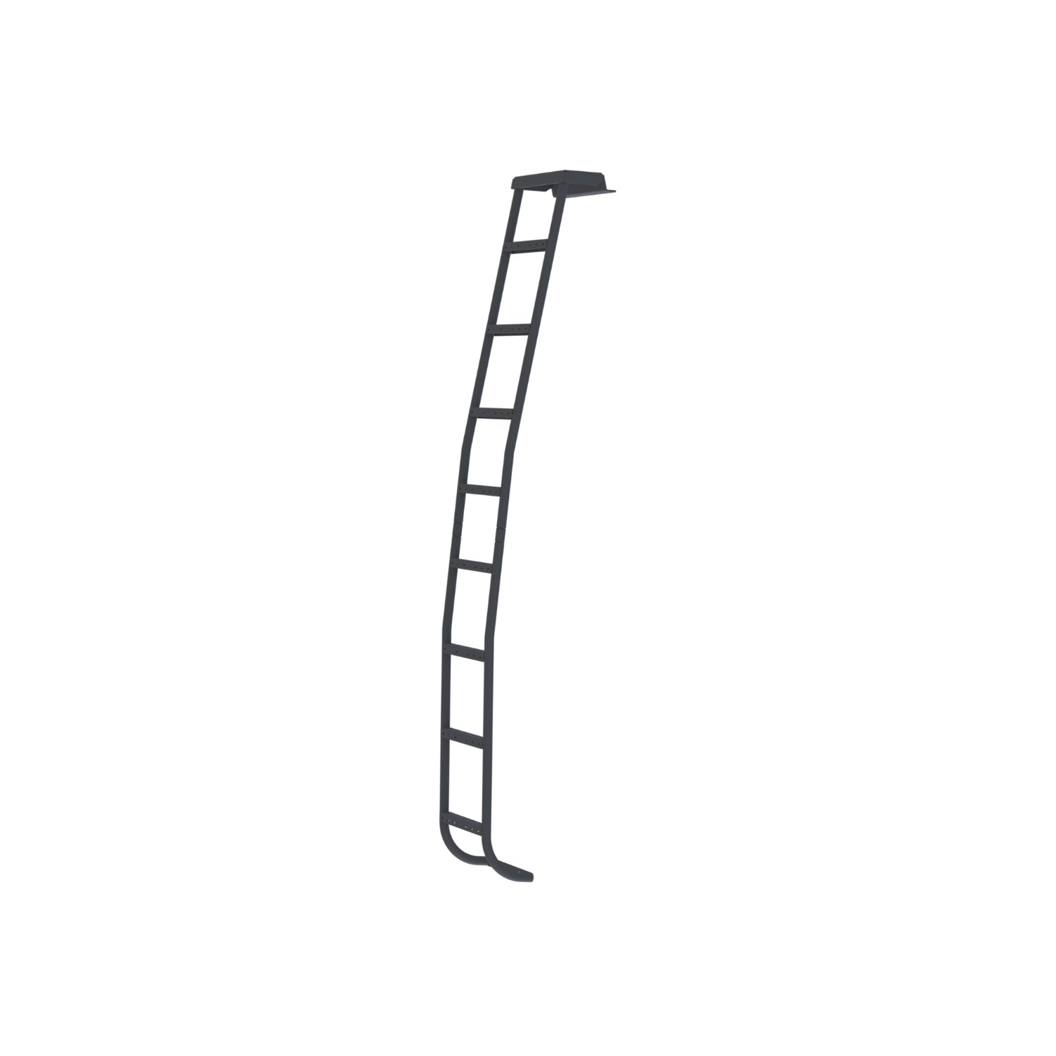 side image of sprinter ladder